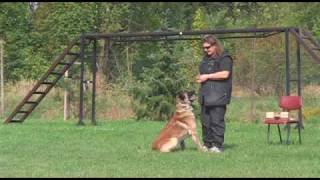 Bad Fany Eciloten - Poslušnost 2.9.09