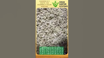 Cashew Sorter 2 Chute 128 channels