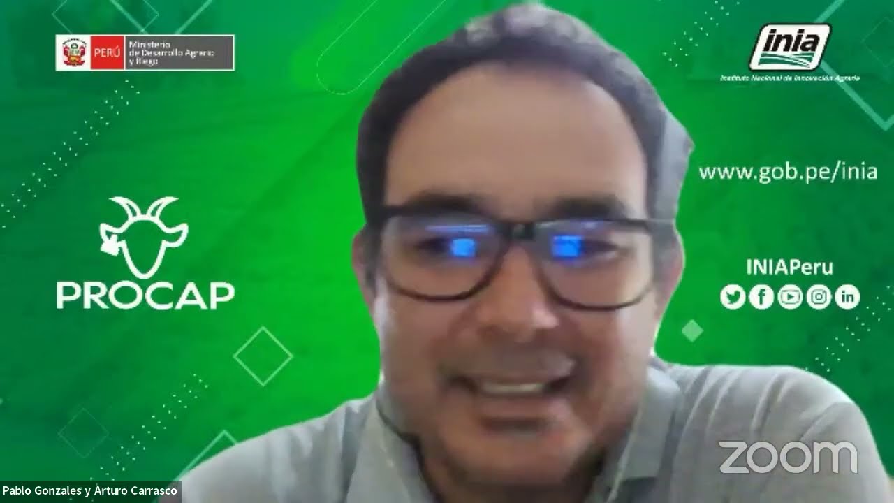 Plantilla de Excel para formulación de raciones en caprinos. Una herramienta muy útil