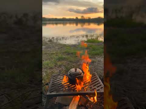 التراث القلموني بعزفي عزف اورغ شعبي سوري اكسبلور اغاني عزف 