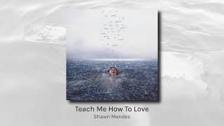 Teach Me How To Love - Shawn Mendes (audio)