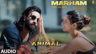 ANIMAL: Marham (Pehle Bhi Main) (Audio) Ranbir Kapoor,Tripti Dimri |Sandeep|Vishal M,Raj S|Bhushan K