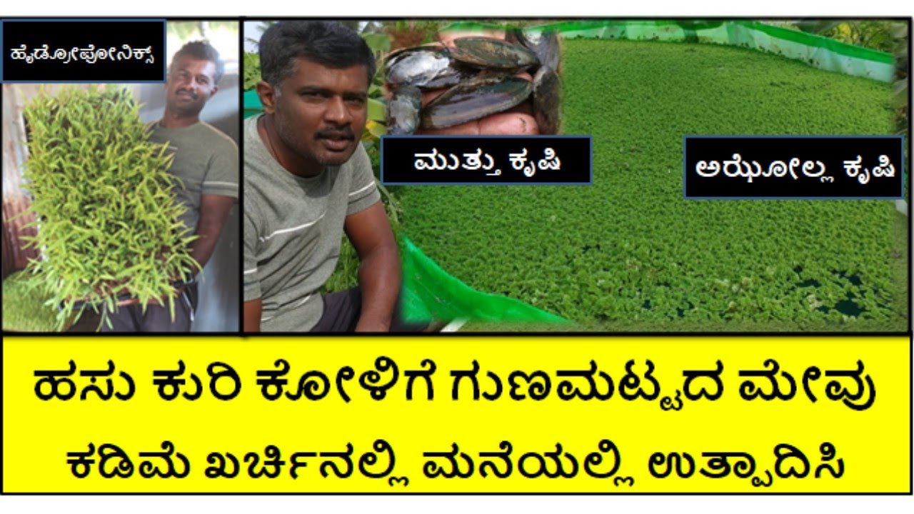 ಹಸು, ಕುರಿ, ಕೋಳಿ, ಮೊಲಗಳಿಗೆ ಮನೆಯಲ್ಲಿಯೇ ಗುಣಮಟ್ಟದ ಮೇವುಗಳನ್ನು ತಯಾರಿಸಿ ಕೊಡುತ್ತಿದ್ದೇವೆ