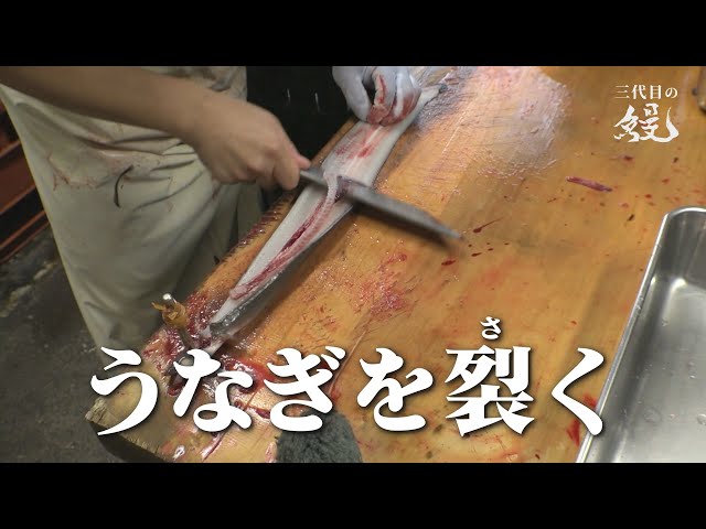 鰻屋三代目】早朝から大量のうなぎを裂く、ただひたすらに… - YouTube