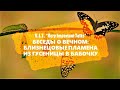 🔥 БЛИЗНЕЦОВЫЕ ПЛАМЕНА Ч.23: КАК ПРЕВРАТИТЬ ГУСЕНИЦУ В БАБОЧКУ? | НЕ МЕШАЙТЕ ТРАНСФОРМАЦИИ! 💖💑👼