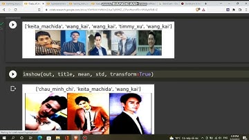 Full Pytorch Training Pipeline on Image Classification