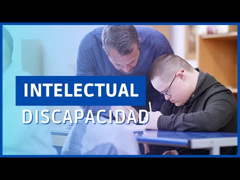 ¿Qué es la