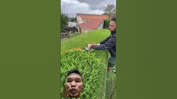 Máy cắt tỉa cây cảnh siêu đẹp #beautifultools