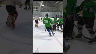 perfect POP - Hey Stripes! The Micd Up GoPro Hockey Refcam
