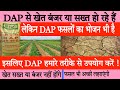 dap हो जाएगी क‌ई गुना powerful ऐसे करें उपयोग | dap fertilizer | use of dap fertilizer | #dap