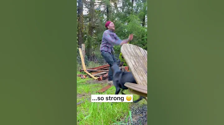 She acts like she’s not dazzled