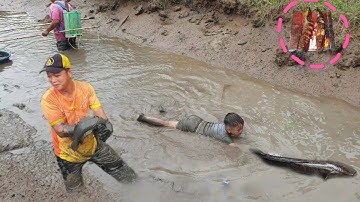 Kích cá lóc, cá rô khủng ,đang trong vụ gặt lúa | Thú Vui 3 Miền