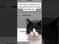 this happen to anyone as well 🤔#cathumor #gettingolder #humor #cat #iphone