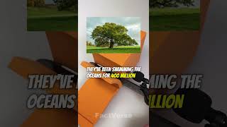 Mind-Blowing Facts You Didn’t Know (#1)