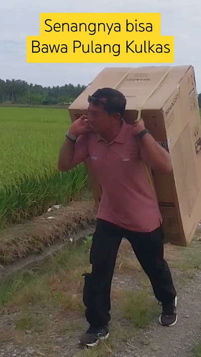 Hadiah Kulkas #cover #music #parigimoutong #sawah #cinematiksawah #musiccover  #pertanian #farming