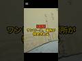 【速報】ワンピース特定される#onepiece
