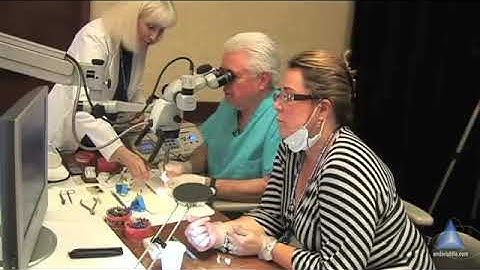 Finding the MB2 - Importance of Color: Advanced Endodontics