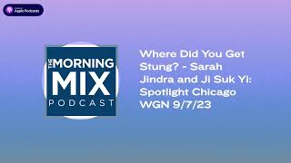 Where Did You Get Stung? - Sarah Jindra and Ji Suk Yi: Spotlight Chicago WGN 9/7/23 | The...