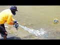 Wow Pescador Atrapa lisas en la desembocadura de río