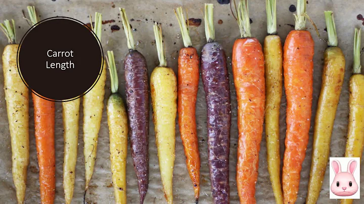 GN 311 Exam 5 -Video 2 Emma Sieracki