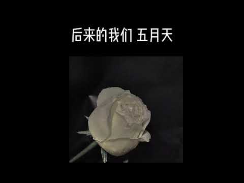后来的我们 0.8x （降调）
