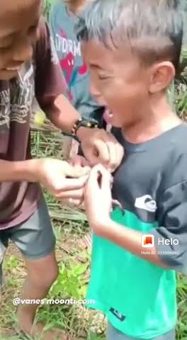 tingkah laku anak kecil semakin lucu,tidak ingat pegang kepiting akhirnya ?? #shorts #memeviral