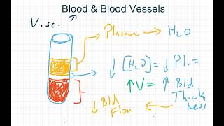 Exercise Physiology - Chapter 9 - Part 4: Circulatory Responses To Exercise