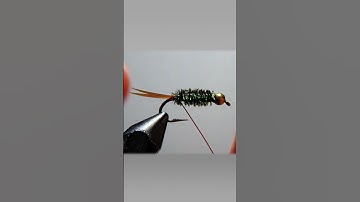CDC Prince - My variation on a classic prince nymph pattern.