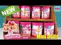 Lalaloopsy Minis Paint Can Dolls Series 1 Blind Bag Opening PSToyReviews