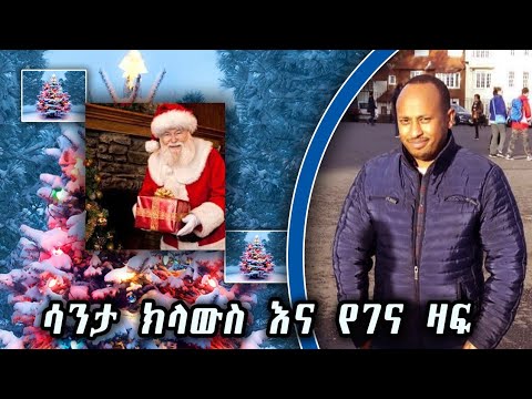 ቪዲዮ: የገና ዛፍን ይዘሩ እና ያሳድጉ፡ ለገና ዛፍ እንዴት እንደሚበቅል