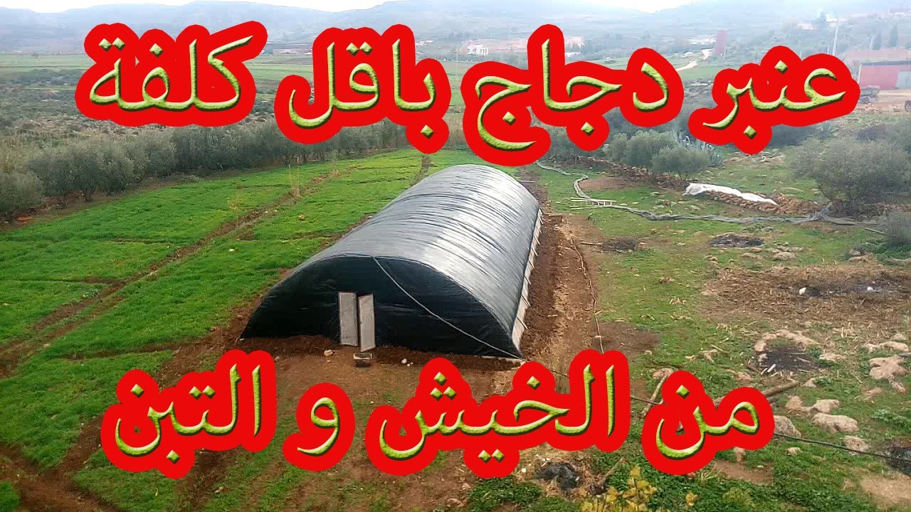 عنبر دجاج ب 7000 درهم من التبن و الخيش بالتفاصيل 10/12 متر