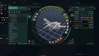 Raven Navy Issue PVE Fit