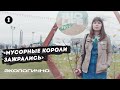 Экологично. Как раздельный сбор мусора может спасти мир | Человек года