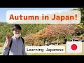Autumn in Japan！Feel the nature of Japan！／【Comprehensible Japanese】