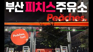 부산 피치스주유소 빙고점 탐방기 (부산 차쟁이명소 1편)
