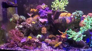 40 Breeder Update 40 Breeder Update 5 28
