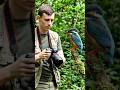 decoding nature mystery the most beautiful bird in the world #NatureMystery #BeautifulBirds