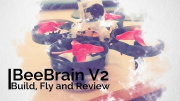 Beebrain V2 Build, Fly and Review