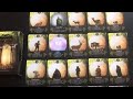Everdark card game review
