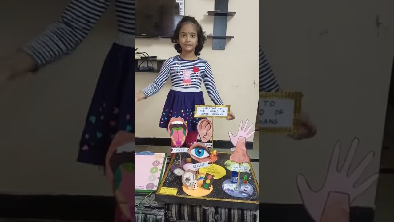 SENSE ORGANS|| Science experiment|| 1 std by Mary Aadhya Reddy