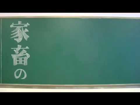 進撃の巨人op(黒板でしてみた)