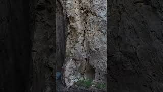 La BELLEZA del Barranco de la Mina en Albuñol. #barranquismo #canyoning #montaña #barrancodelamina