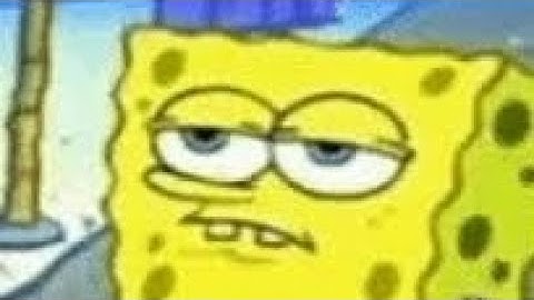 The Nickelodeon Ultimate SpongeBob SpongeBash Resignation Incident (07/17/2009) Rewritten Release