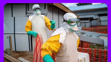 Top Journalist EXPOSES Ebola Lab Leak COVERUP | Counter Points