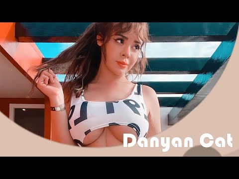 OO Fans | Danyan Cat