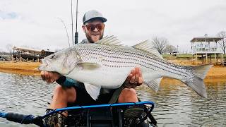 Monster Striped Bass in the Kayak!! (EGO fishing)