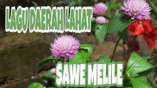 LAGU DAERAH LAHAT | SAWE MELILE + LIRIK