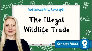 Illegal Wildlife Trade | Eye-Opening Insights for Kids | Sustainability