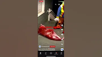 Killer Clown Sightings 2023 