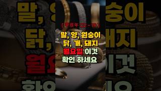 甲辰年 02월 19일 월요일 말띠 양띠 원숭이띠 닭띠 개띠 돼지띠 재물운 건강운 사업운 오늘의 운세! 돈복 …